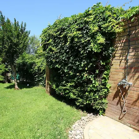 Peter's كاتاكولو