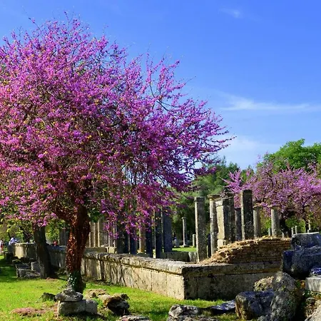 بيت للعطل Peter's *