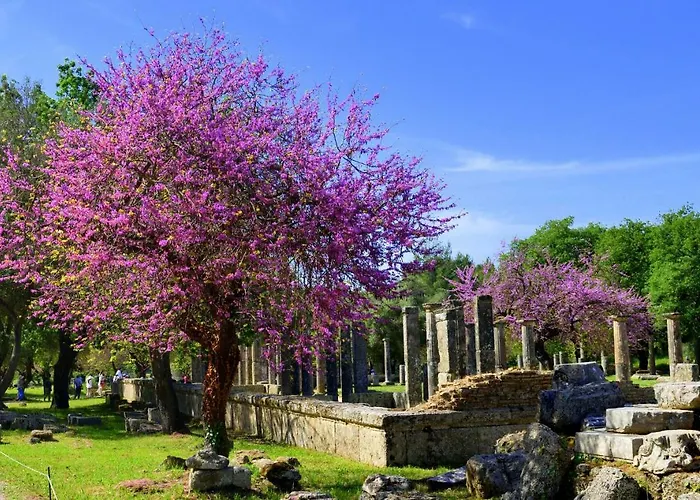 Dom wakacyjny Peter's *